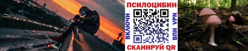 Псилоцибиновые грибы GOLDEN TEACHER  Североморск 