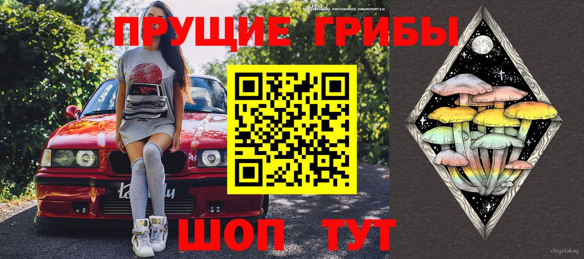 Псилоцибиновые грибы Cubensis Североморск